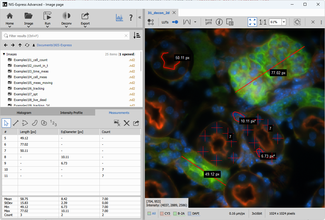 Interactive tools: Measurement Measurement
