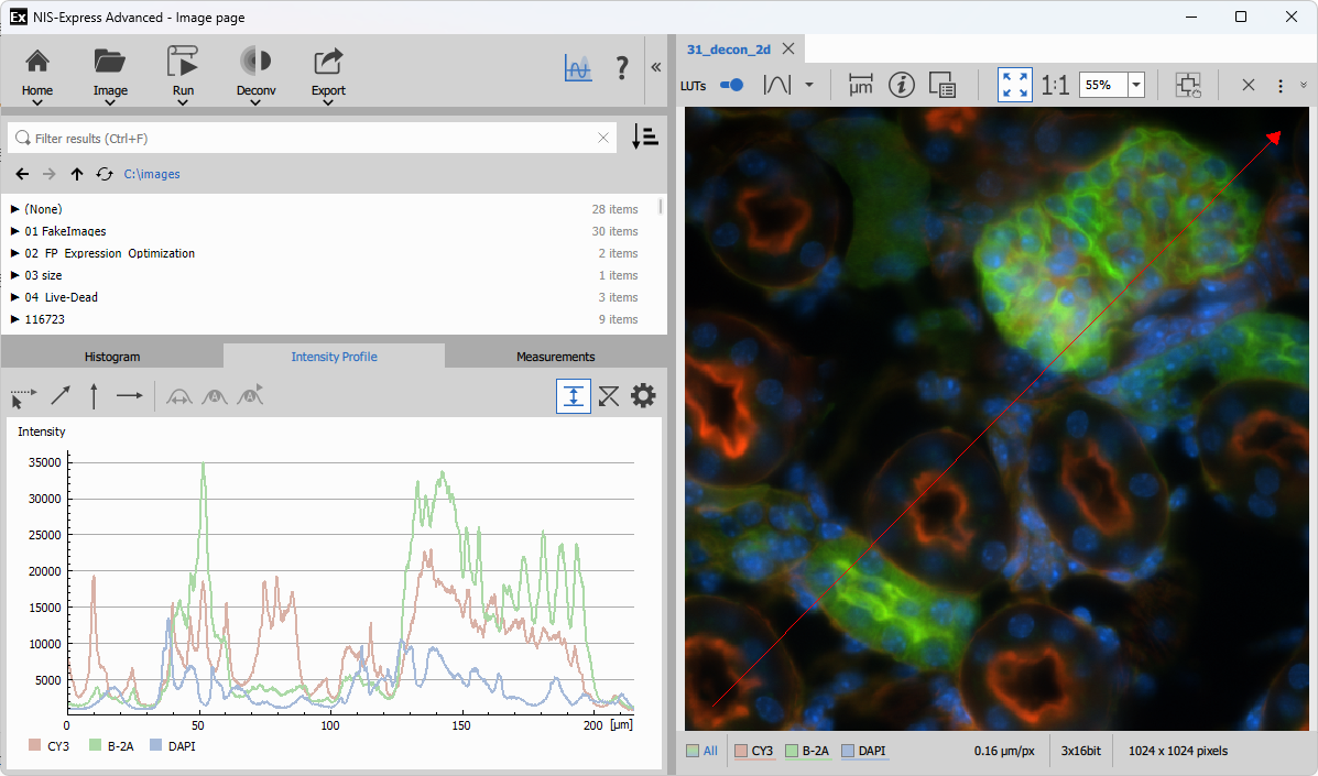 Interactive tools: Intensity profile line Intensity profile line