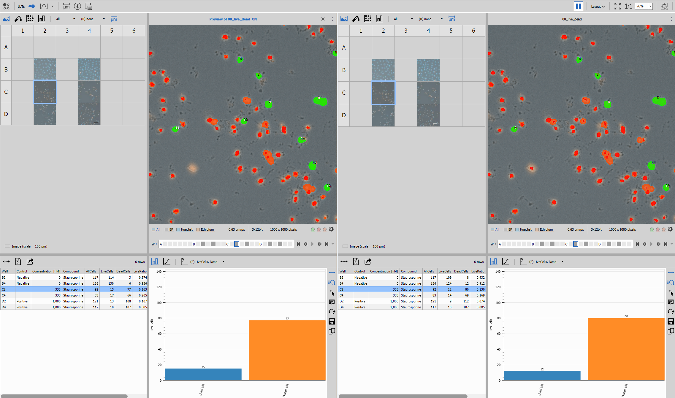 Multiple images with results