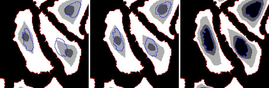Intensity distribution rings