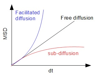Diffusion