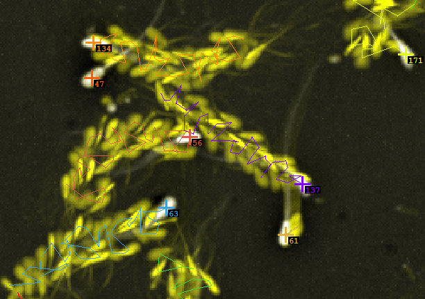 Tracking overlay