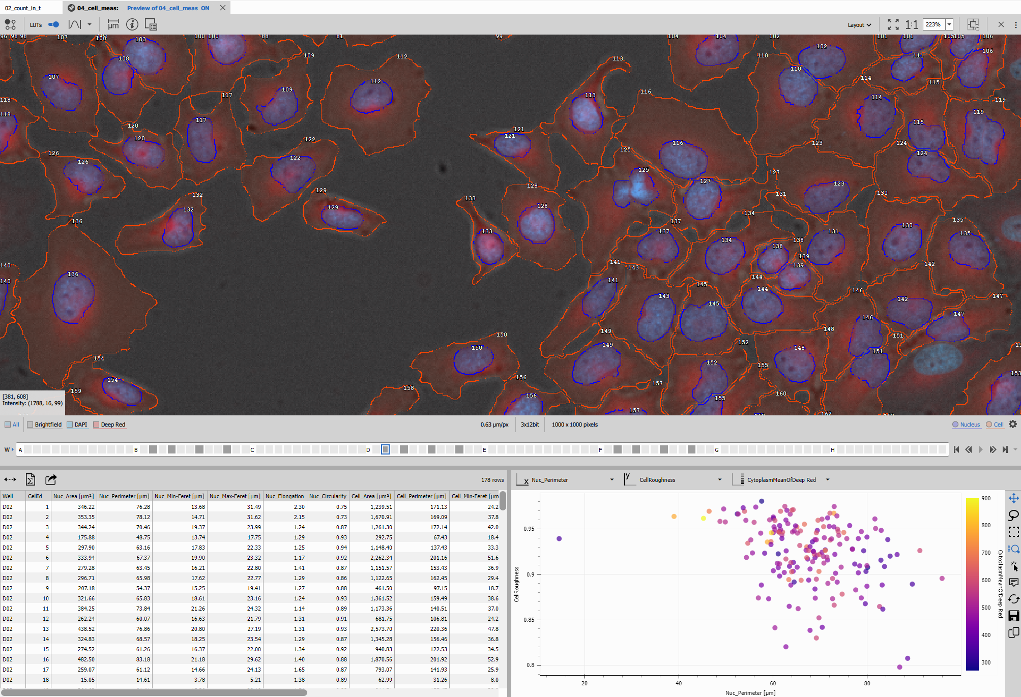 Segmented cells with measurement results