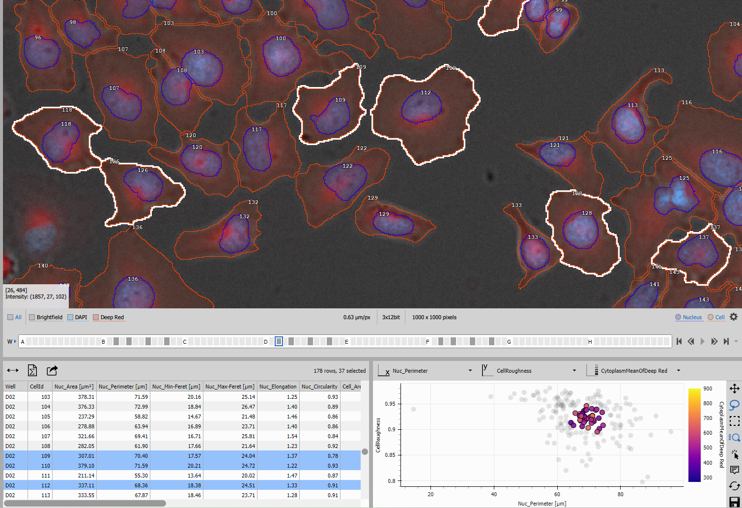 Scatter plot visualization