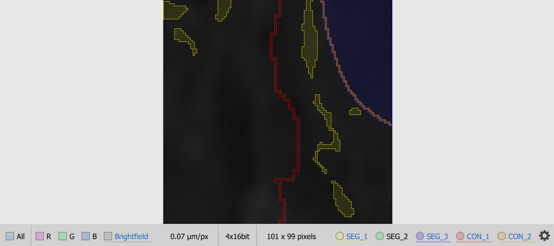 Import labeled image result