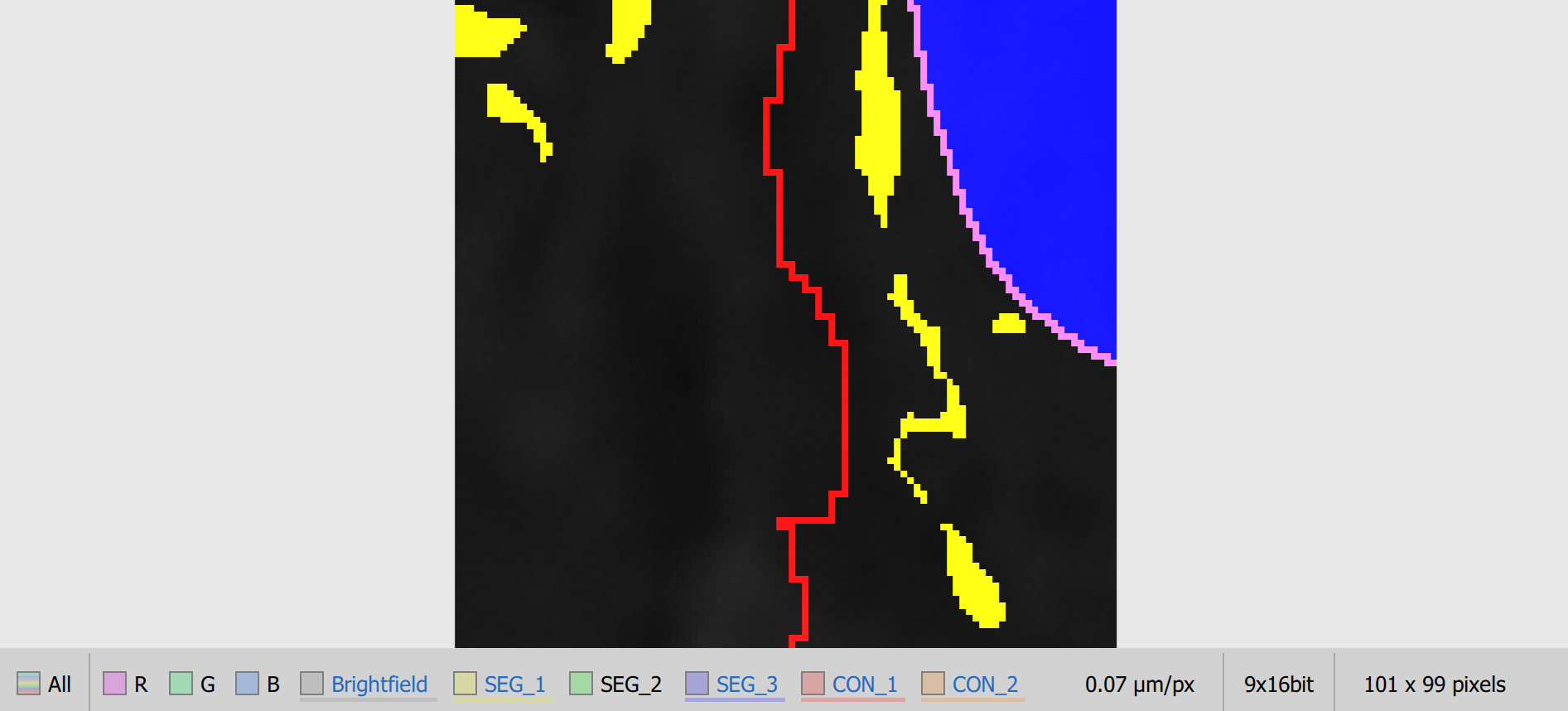Import labeled image example