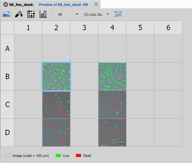 Well plate image layout
