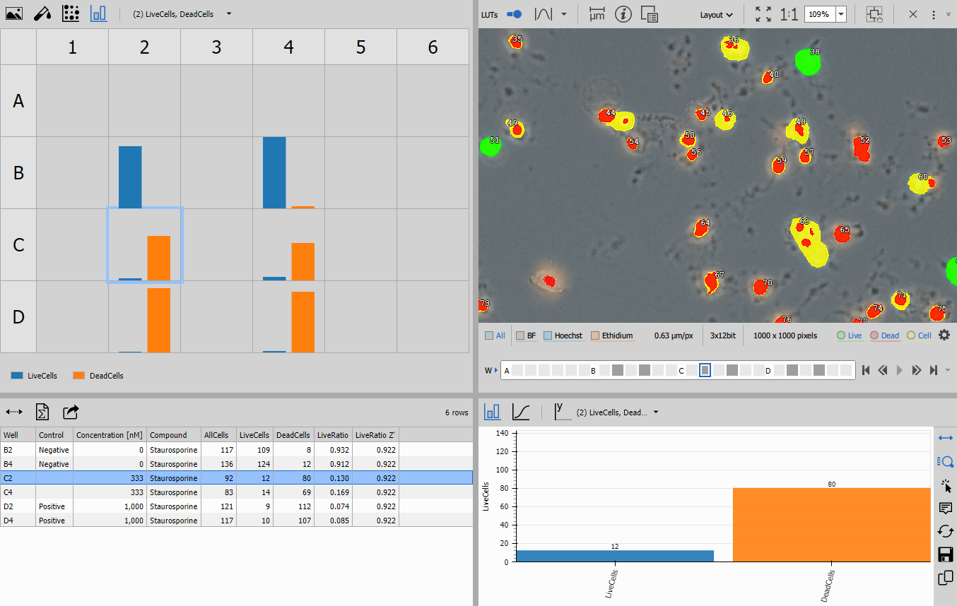 Complete synchronized layout