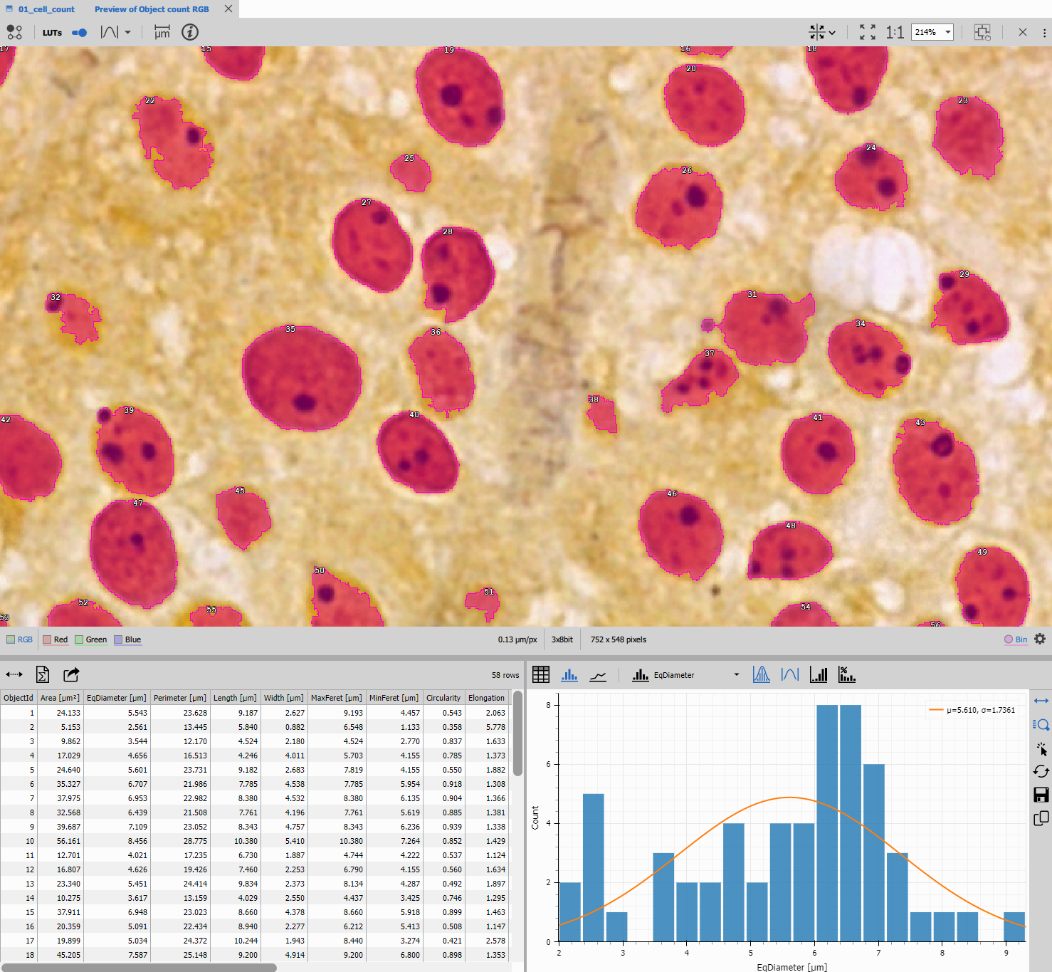 Object counting workflow result